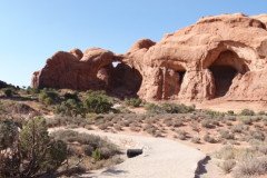 DSC00435-Medium