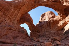 DSC00436-Medium