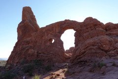 DSC00441-Medium