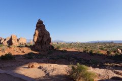 DSC00442-Medium