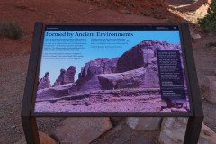DSC02898-Medium
