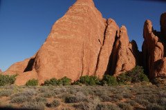 DSC02909-Medium