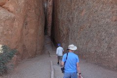 DSC02912-Medium