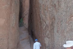 DSC02913-Medium