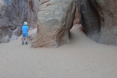 DSC02916-Medium