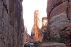 DSC02919-Medium
