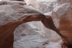 DSC02920-Medium
