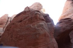 DSC02921-Medium