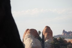 DSC02924-Medium