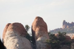 DSC02925-Medium