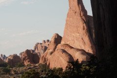 DSC02927-Medium