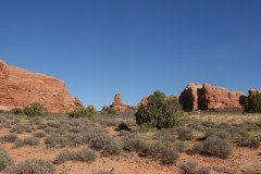 DSC03036-Medium
