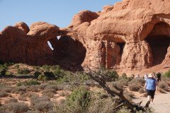DSC03037-Medium