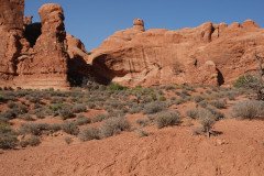 DSC03041-Medium