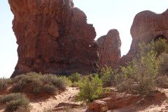 DSC03046-Medium