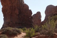 DSC03047-Medium