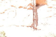 DSC03056-Medium