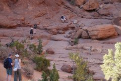 DSC03058-Medium