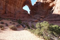 DSC03059-Medium