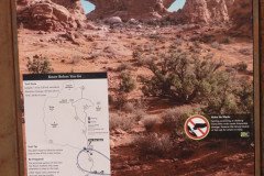 DSC03060-Medium