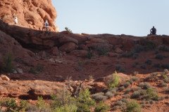 DSC03064-Medium