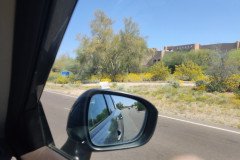 IMG_20230416_110515-.Medium