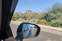 IMG_20230416_110517-.Medium