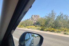 IMG_20230416_110520-.Medium