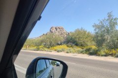 IMG_20230416_110524-.Medium