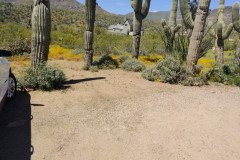 IMG_20230416_124520-.Medium