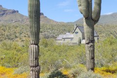 IMG_20230416_124532-.Medium