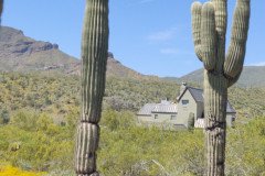 IMG_20230416_124537-.Medium