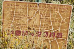 IMG_20230416_124659-.Medium