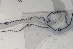 IMG_20230416_124905-.Medium