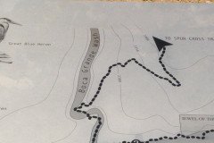 IMG_20230416_124907-.Medium