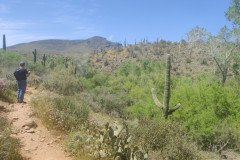 IMG_20230416_132724-.Medium