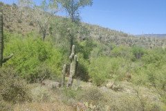 IMG_20230416_132728-.Medium