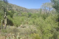 IMG_20230416_132729-.Medium