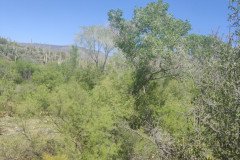 IMG_20230416_132829-.Medium