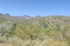 IMG_20230416_133503-.Medium