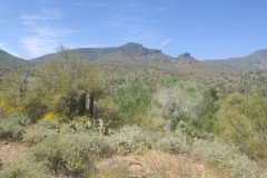 IMG_20230416_133507-.Medium