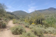 IMG_20230416_133510-.Medium