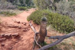 IMG_20230418_151500-.Medium