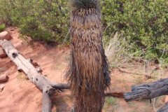 IMG_20230418_151530-.Medium