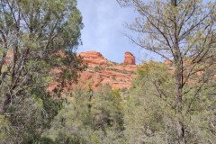 IMG_20230418_152314-.Medium