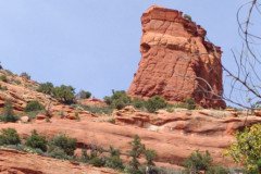 IMG_20230418_152322-.Medium