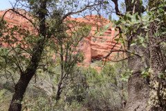 IMG_20230418_152908-.Medium