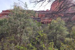 IMG_20230418_154203-.Medium