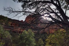 IMG_20230418_154208-.Medium