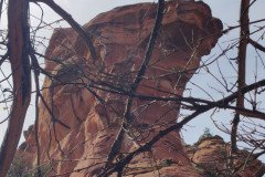 IMG_20230418_154644-.Medium